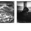 Benjamin Hoffman - Farwell Cape Town (Éditions de Juillet) – Image 2