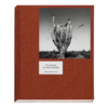Graciela Iturbide - Des Oiseaux 01