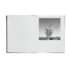 Graciela Iturbide - Des Oiseaux 02
