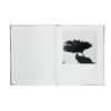 Graciela Iturbide - Des Oiseaux 03
