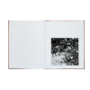 Graciela Iturbide - Des Oiseaux 07