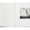 Michael Kenna - Des Oiseaux (Éditions Xavier Barral) – Image 2