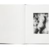 Michael Kenna - Des Oiseaux (Éditions Xavier Barral) – Image 4