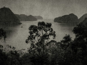 Flore Prix Nadar 2020