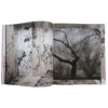 Claudia Jaguaribe - Beijing Overshoot 05