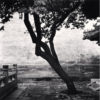 Michael Kenna - One Sunday In Beijing 05