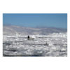 Francis Latreille - Les Derniers Peuples Des Glaces 05