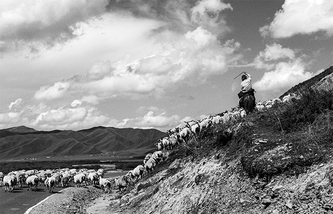 Jacques Borgetto - Si Près du Ciel, le Tibet 02