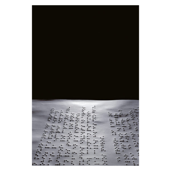 Joan Fontcuberta - Le Boitier De Pandore 02
