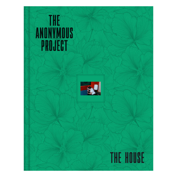 Lee Shulman - The Anonymous Project 01
