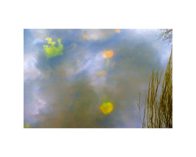 Laurence Prat - Ciel de Giverny et nymphéas