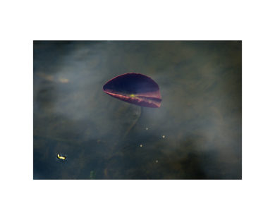 Laurence Prat - Hiver