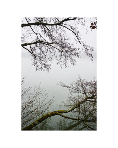 Dominique Laugé - Brume 02