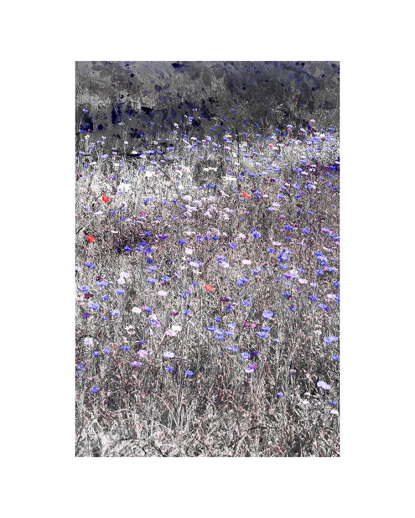 Carline Bourdelas - Nature luxuriante