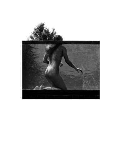 Richard Schroeder - Nus 02
