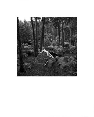 Richard Schroeder - Nus 03